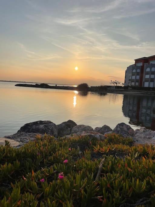 Studio Cabine A Barcares Le Barcarès Eksteriør billede